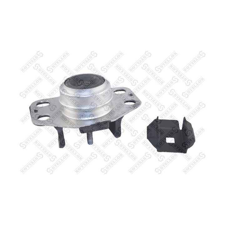 Variklio montavimas STELLOX 25-17052-SX