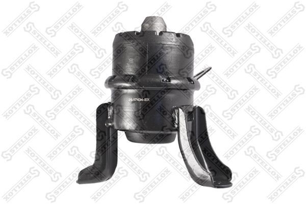 Variklio montavimas STELLOX 25-17434-SX