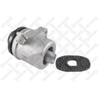 Variklio montavimas STELLOX 25-17460-SX