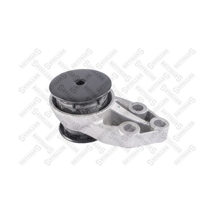 Variklio montavimas STELLOX 25-18034-SX