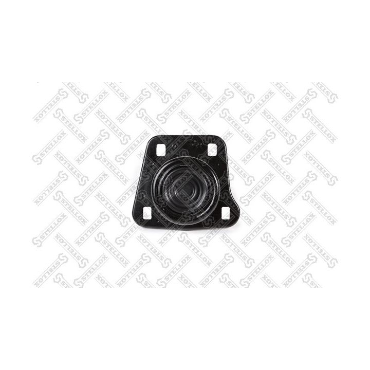 Variklio montavimas STELLOX 25-18316-SX