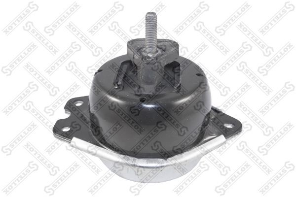 Variklio montavimas STELLOX 25-19782-SX