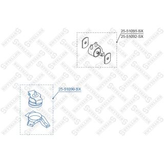 Variklio montavimas STELLOX 25-51090-SX