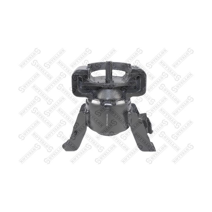 Variklio montavimas STELLOX 25-71039-SX