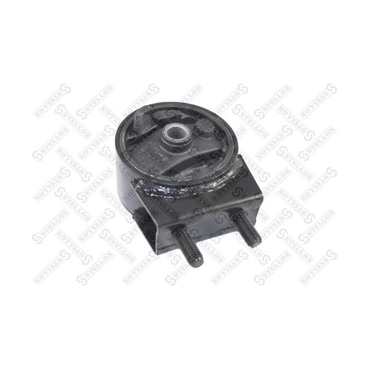 Variklio montavimas STELLOX 25-71042-SX