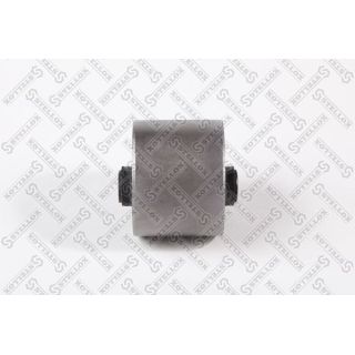 Variklio montavimas STELLOX 25-71063-SX