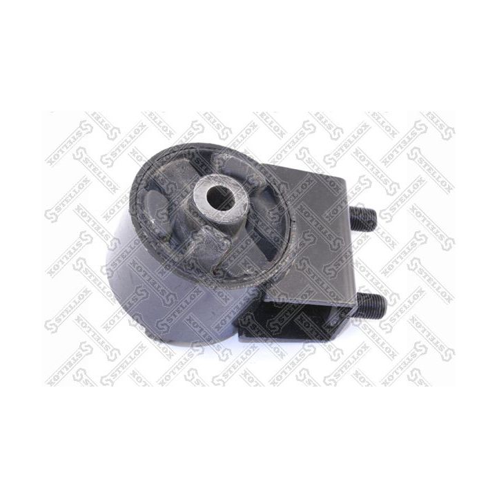Variklio montavimas STELLOX 25-71064-SX