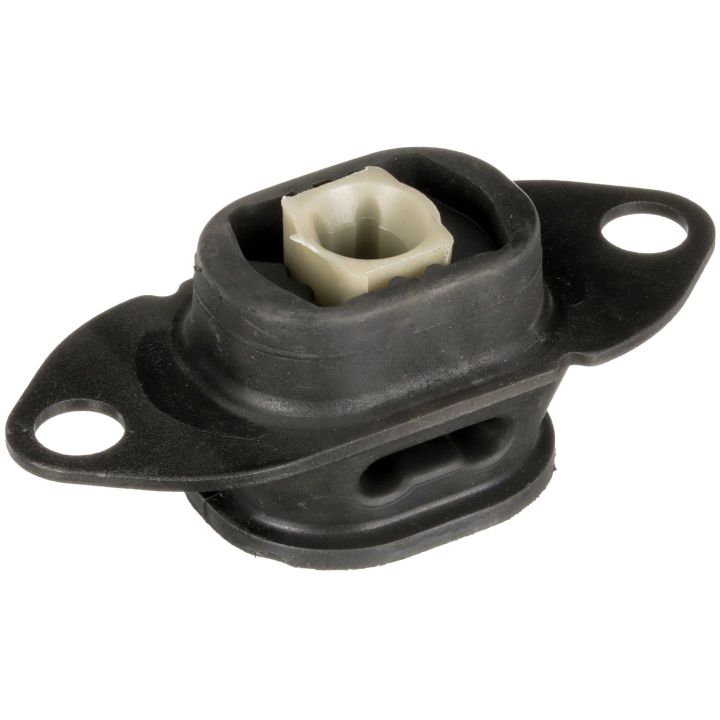 Variklio montavimas RAPRO R50169/A