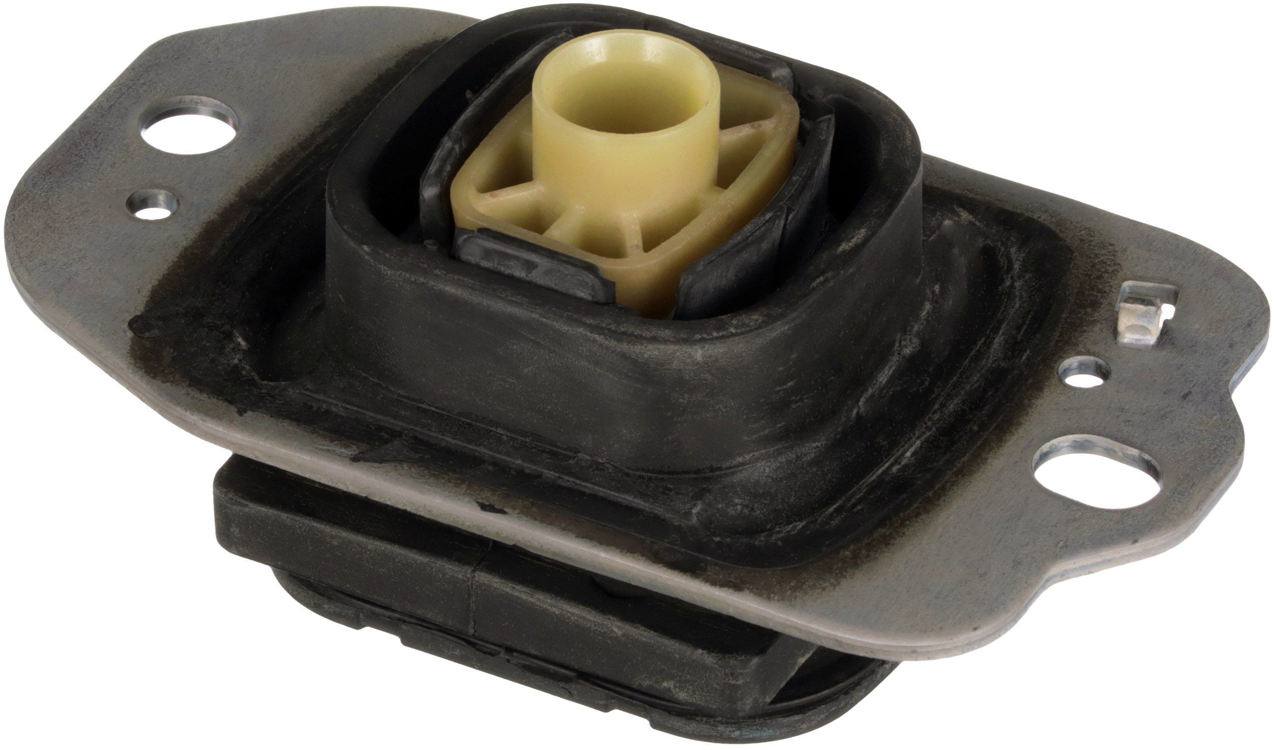 Variklio montavimas RAPRO R50170/O