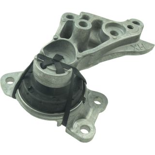 Variklio montavimas RAPRO R50174/O