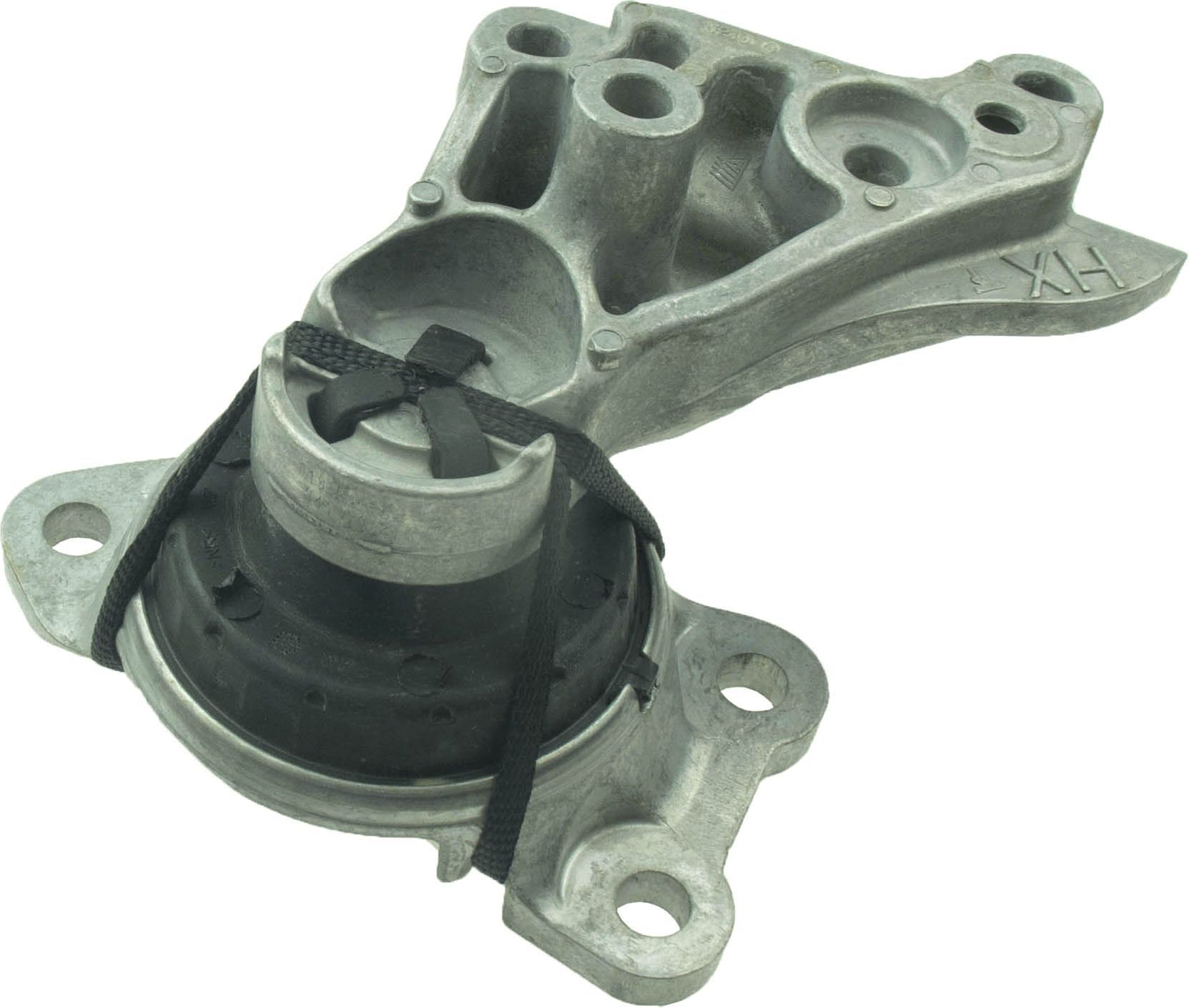 Variklio montavimas RAPRO R50174/O