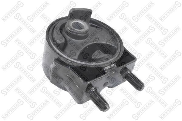 Variklio montavimas STELLOX 25-71078-SX