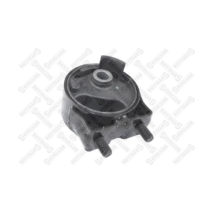 Variklio montavimas STELLOX 25-71079-SX