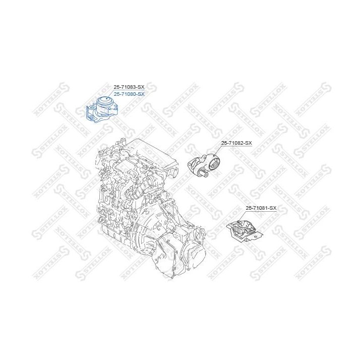 Variklio montavimas STELLOX 25-71080-SX