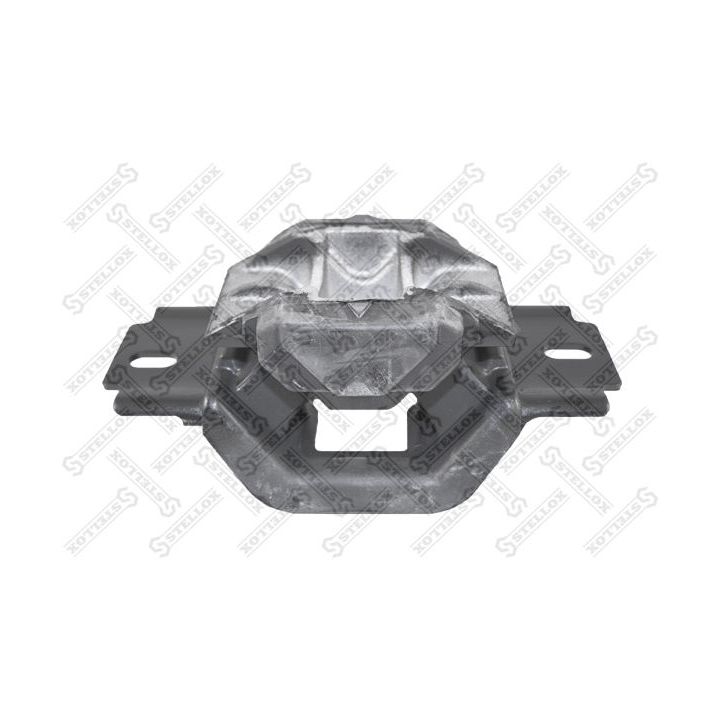 Variklio montavimas STELLOX 25-71081-SX