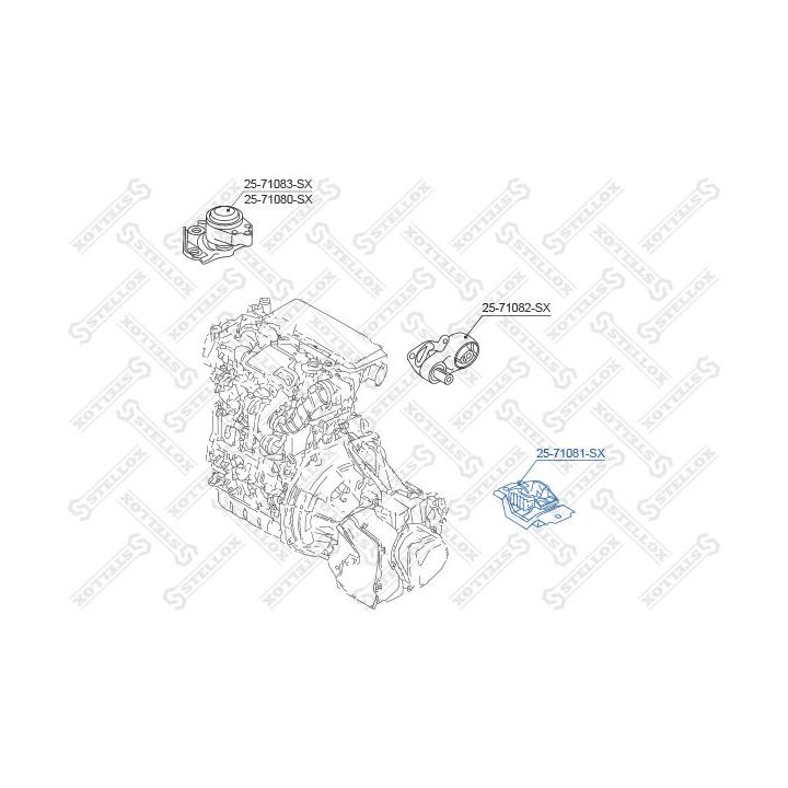 Variklio montavimas STELLOX 25-71081-SX