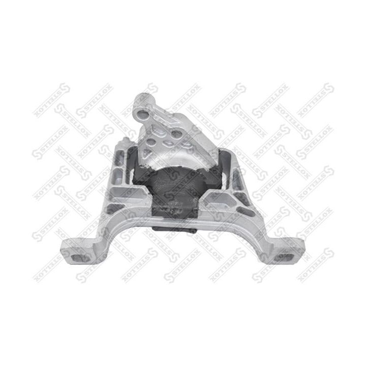 Variklio montavimas STELLOX 25-71084-SX