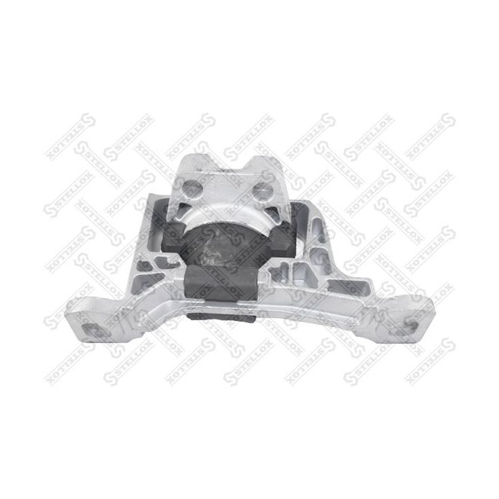 Variklio montavimas STELLOX 25-71088-SX