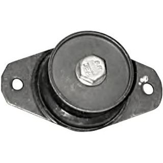 Variklio montavimas RAPRO R51098