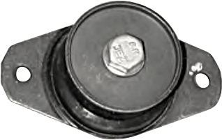 Variklio montavimas RAPRO R51098