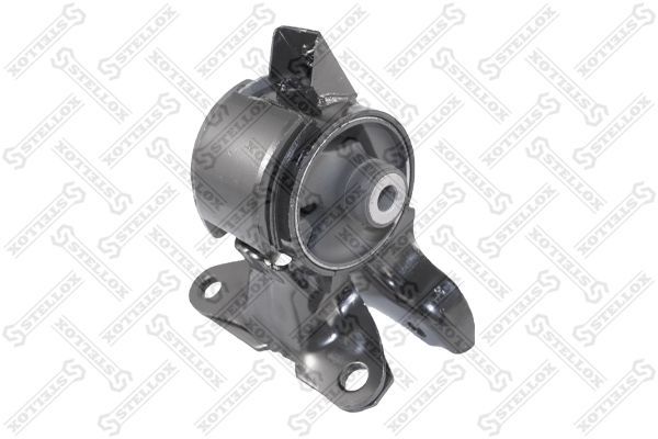 Variklio montavimas STELLOX 25-71094-SX