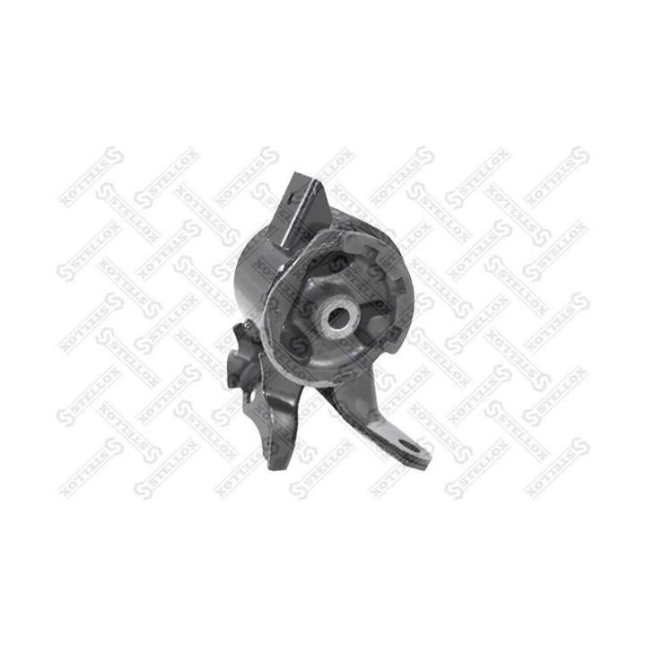 Variklio montavimas STELLOX 25-71099-SX