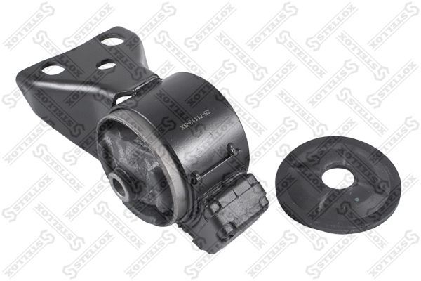 Variklio montavimas STELLOX 25-71113-SX