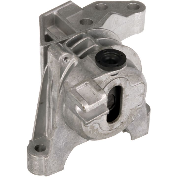 Variklio montavimas RAPRO R51554/O