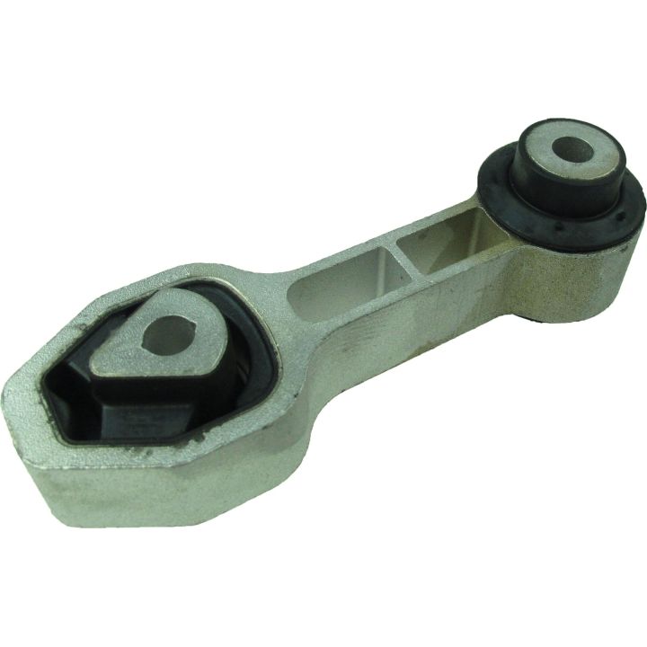 Variklio montavimas RAPRO R51556/O