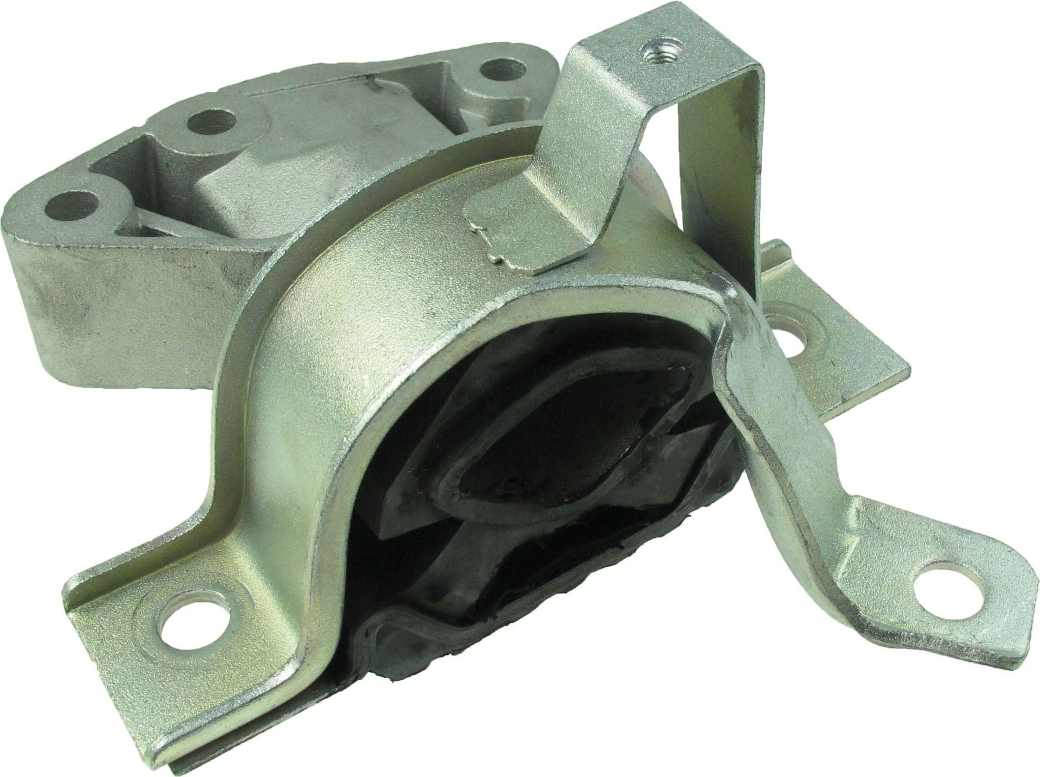 Variklio montavimas RAPRO R51601