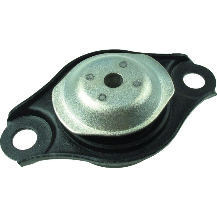 Variklio montavimas RAPRO R51605