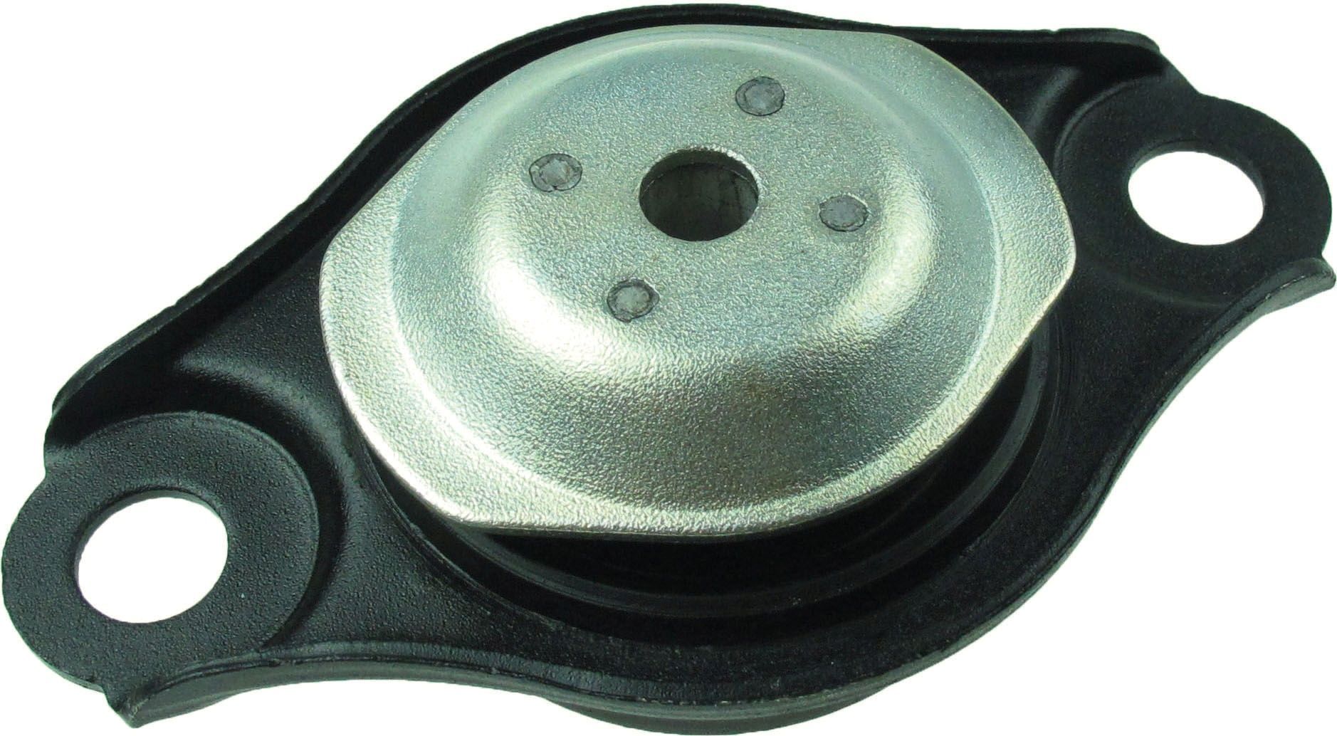 Variklio montavimas RAPRO R51605