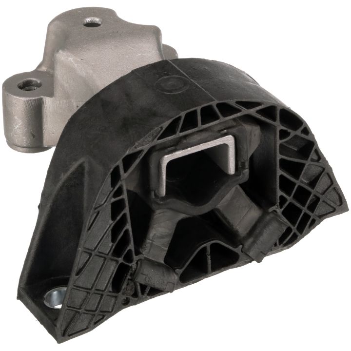 Variklio montavimas RAPRO R51641