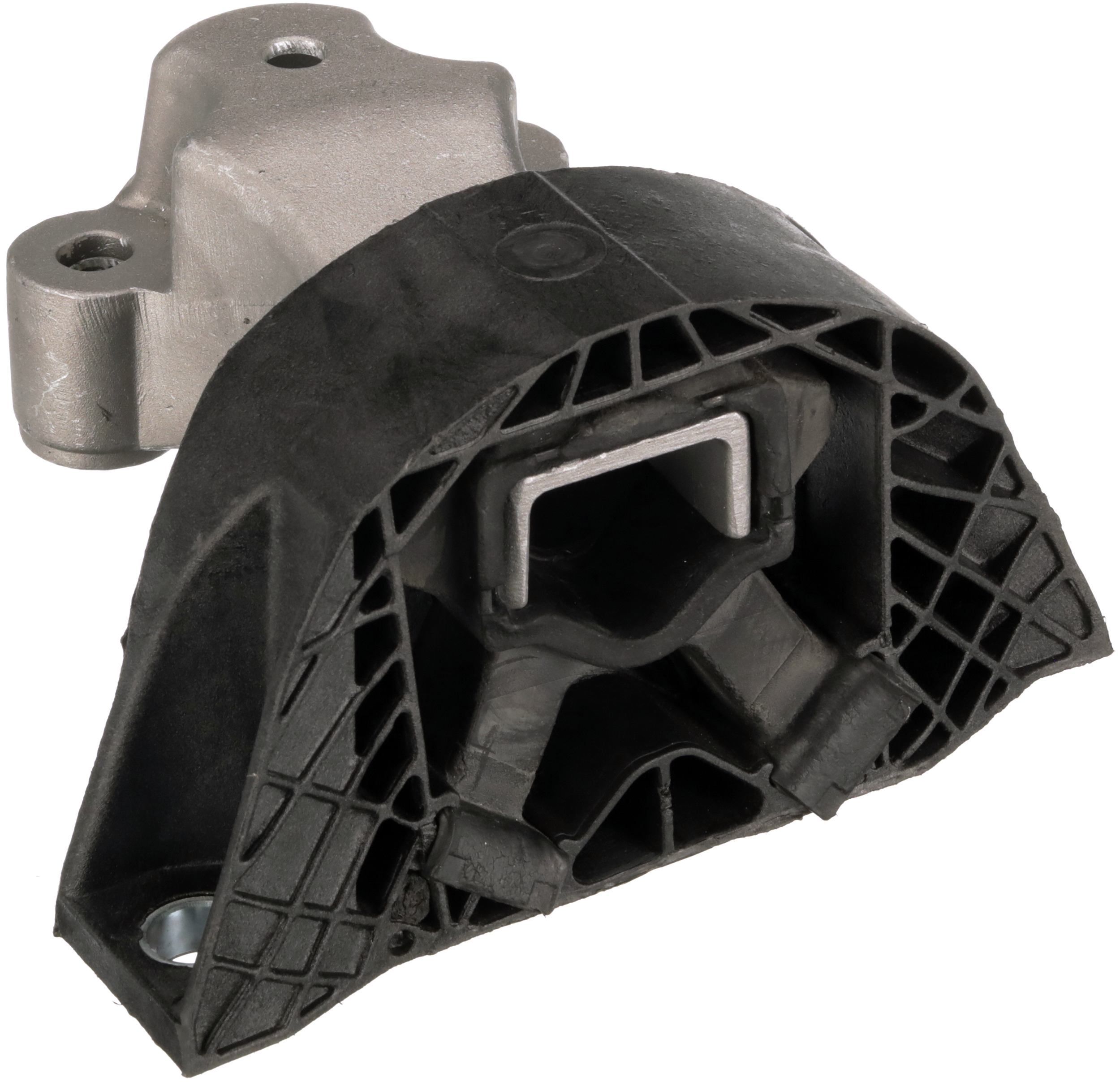 Variklio montavimas RAPRO R51641