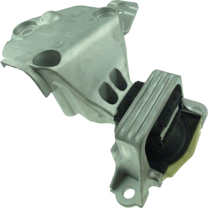 Variklio montavimas RAPRO R51852/O