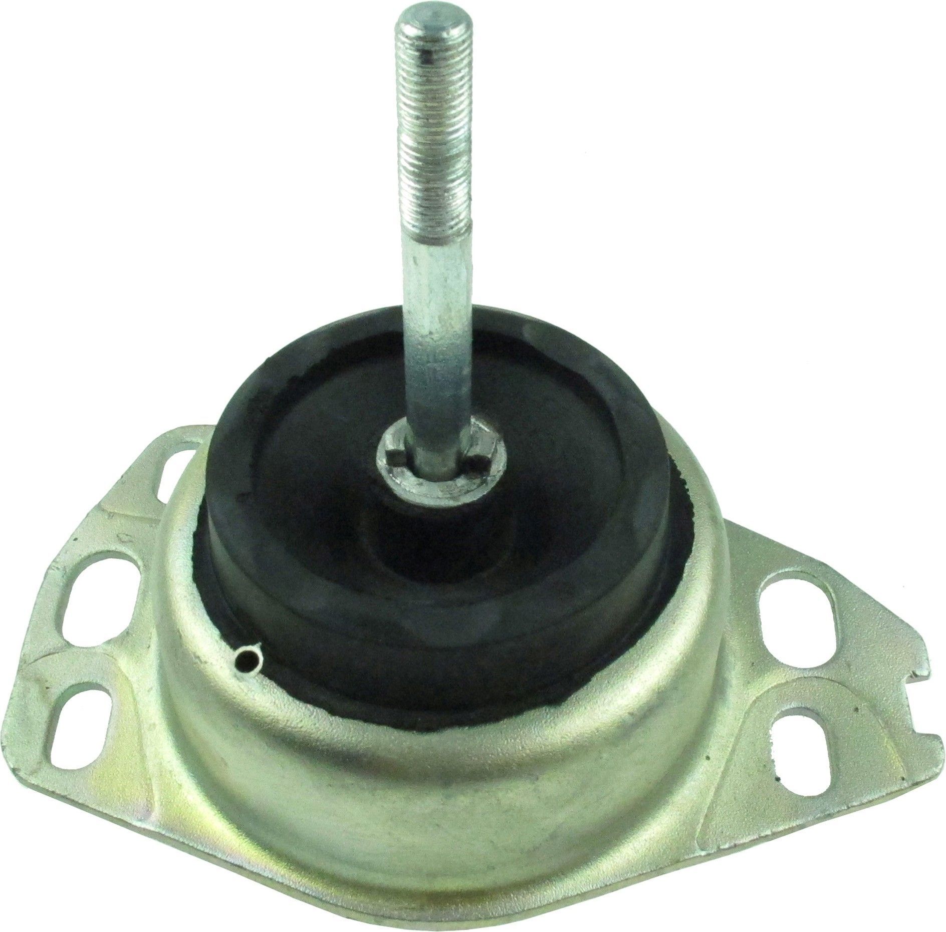 Variklio montavimas RAPRO R51941