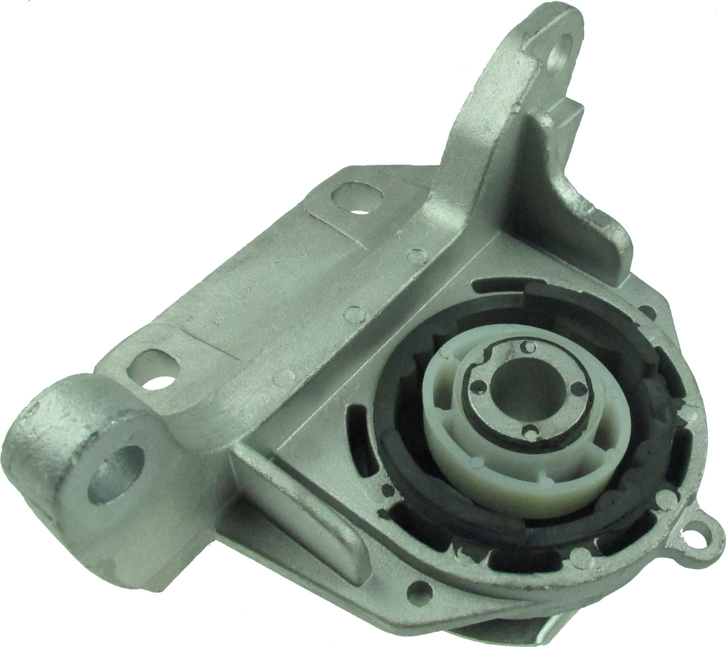 Variklio montavimas RAPRO R51943