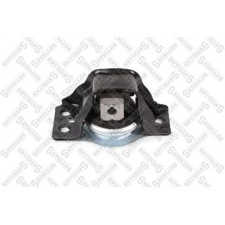 Variklio montavimas STELLOX 25-98051-SX