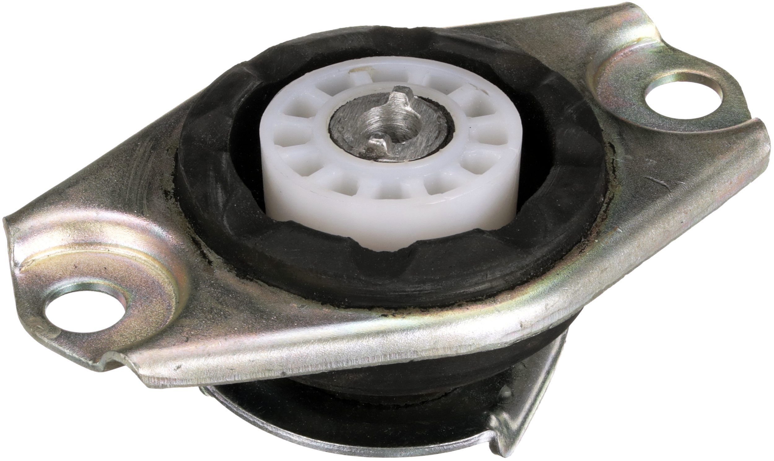 Variklio montavimas RAPRO R52013