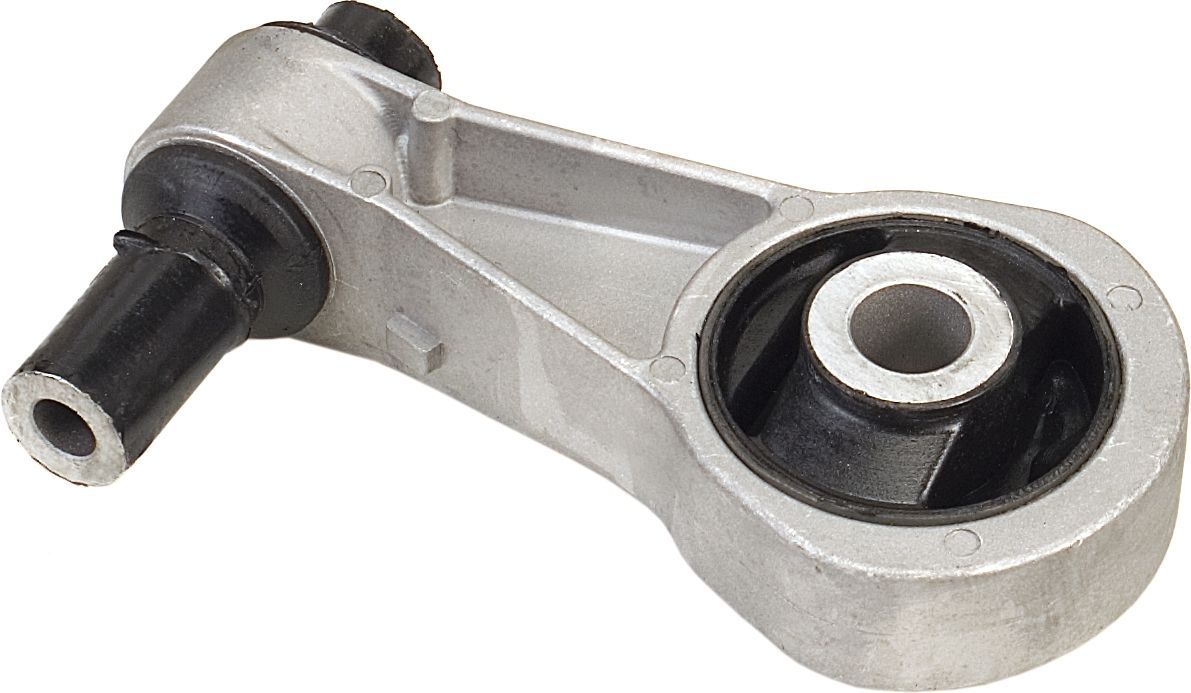 Variklio montavimas RAPRO R52030