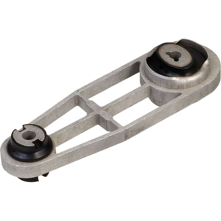 Variklio montavimas RAPRO R52046