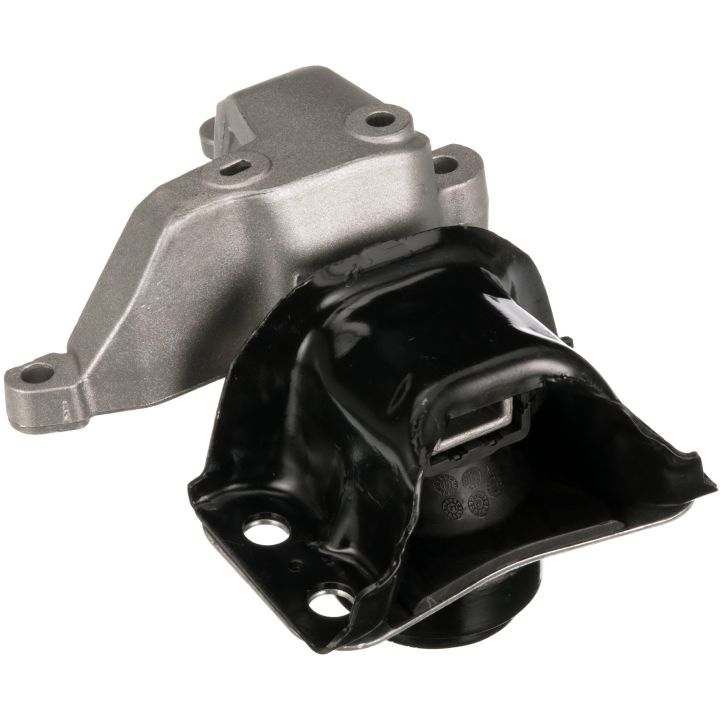 Variklio montavimas RAPRO R52067