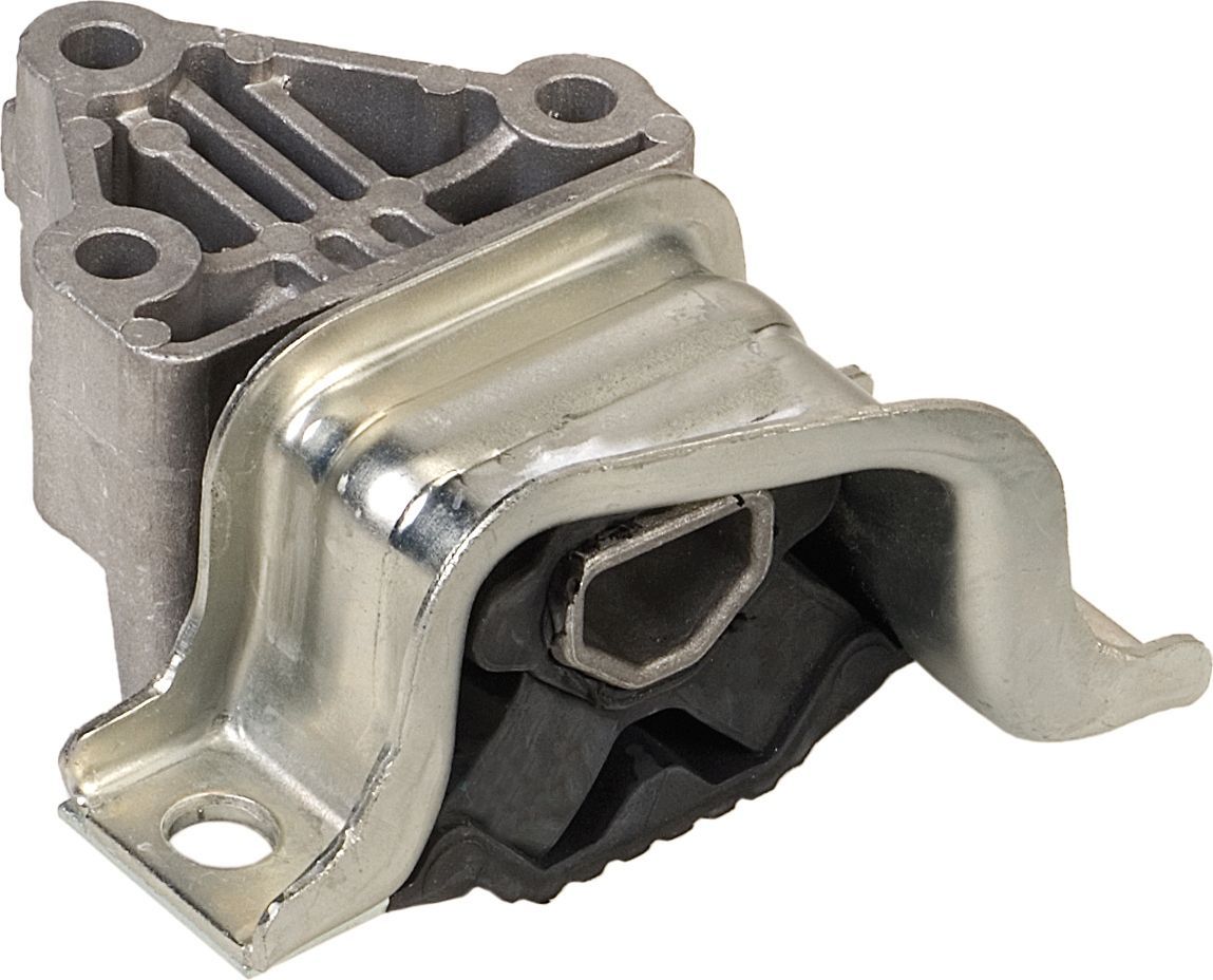 Variklio montavimas RAPRO R52070