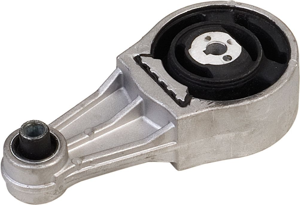 Variklio montavimas RAPRO R52098