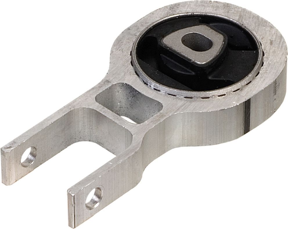 Variklio montavimas RAPRO R52135