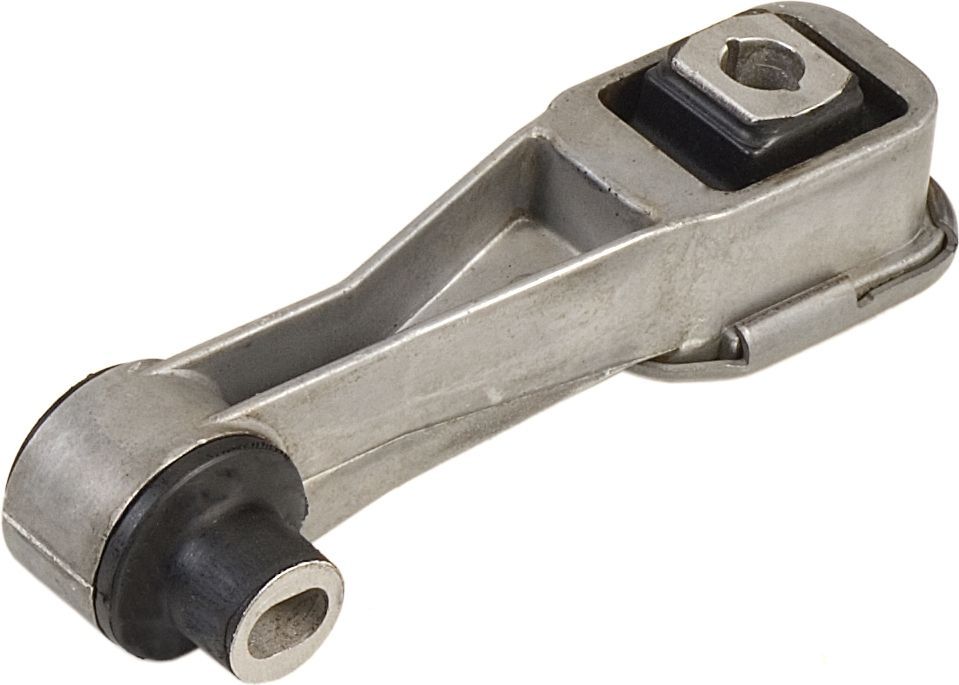 Variklio montavimas RAPRO R52160