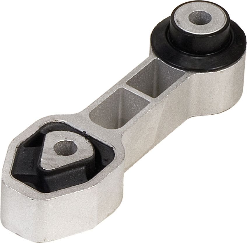 Variklio montavimas RAPRO R52161