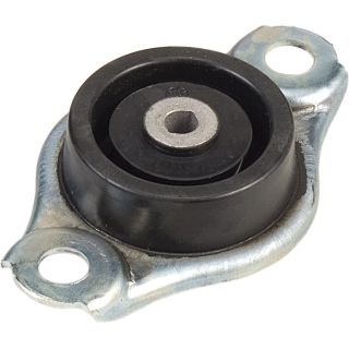 Variklio montavimas RAPRO R52163/A