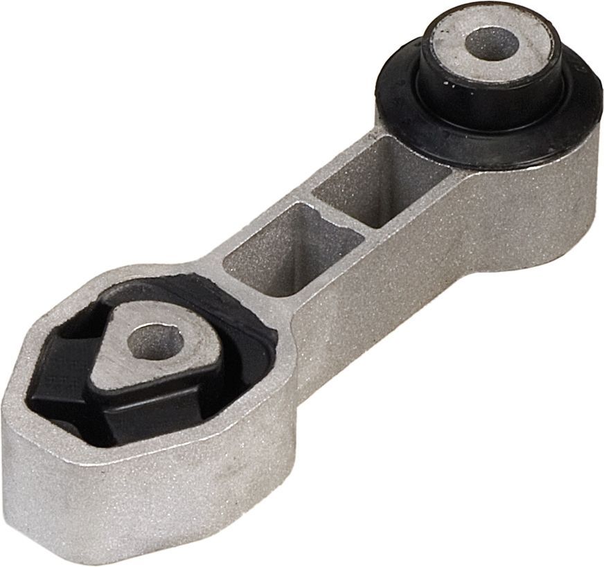 Variklio montavimas RAPRO R52164