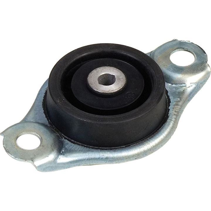 Variklio montavimas RAPRO R52165